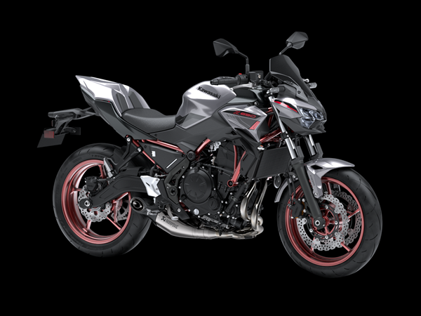 Z650 PERFORMANCE - 2.png